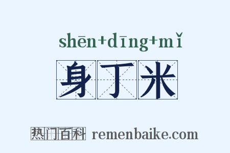 身丁米是什么意思的图片